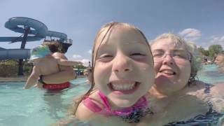 Turtle cove 2016 highlights
