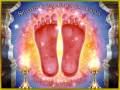 NITAI PADA KAMALA 
