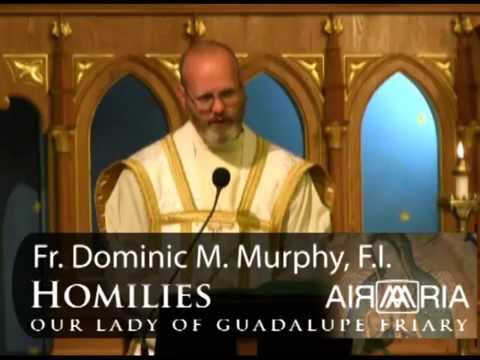 Jul 15 - Homily: St. Bonaventure, the Second Founder