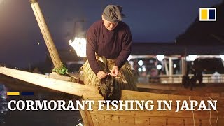 Japan’s ‘usho’ keep cormorant fishing ritual alive