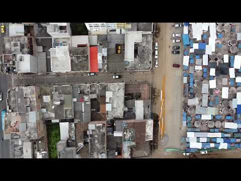 Quichua Mashis  / kawsaypi juyashun #Peguche