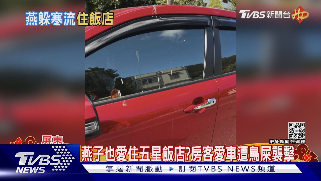 燕子也愛五星飯店?! 地下停車場房客愛車遭鳥屎襲擊