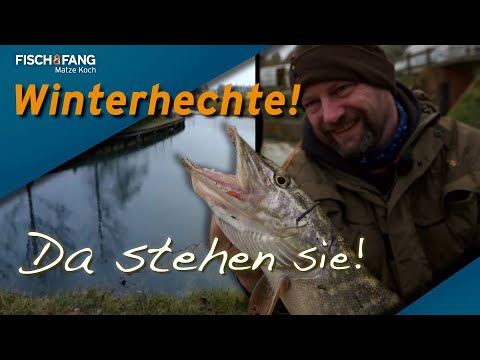 Matze Koch: Searching for and finding pike in winter!