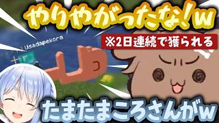 【#ホロ金策サバイバル2】2日連続でぺこらに目の前で横取りされるころさんｗ【戌神ころね・兎田ぺこら/ホロライブ切り抜き】