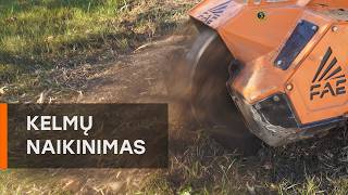 Kelmų naikinimas