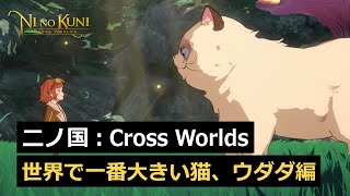 Сессия вопросов и ответов по Ni No Kuni: Cross Worlds — Обмен предметов, элемент случайности, игра на ПК и планы на будущее