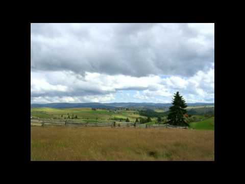 Kimentem a hegyre...