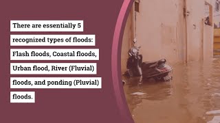 What Are The Various Types of Floods?