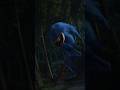 Shin Sonic Is Hungry Shorts Horror Creepy Cursed