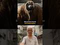 Did You Know That For THE JUNGLE BOOK