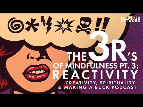 The Three R’s of Mindfulness Pt. 3: Reactivity w/ Michael Kammers & David Nichtern - CSM Podcast