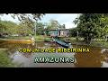 BUFFALOES FISHING AMAZON RIVER COMMUNITY VIDEO 24