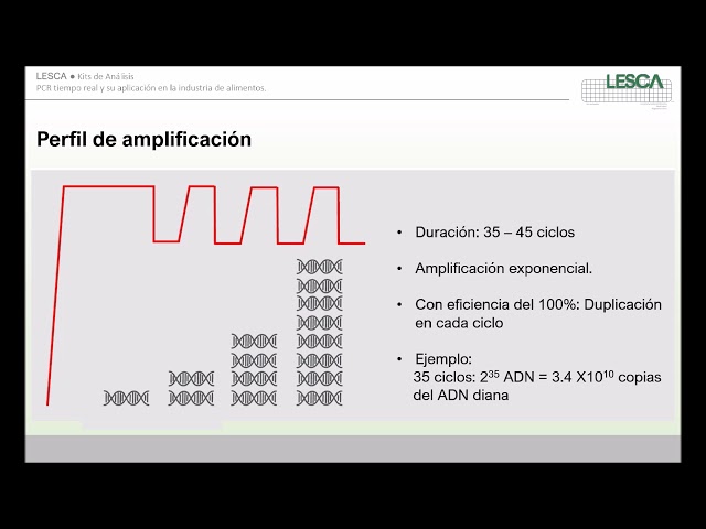 imagen-video-thefoodtech