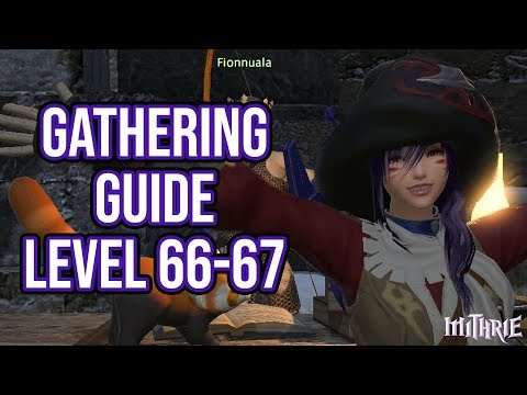 FFXIV 4.0 1129 Gathering Guide Level 66 to 67