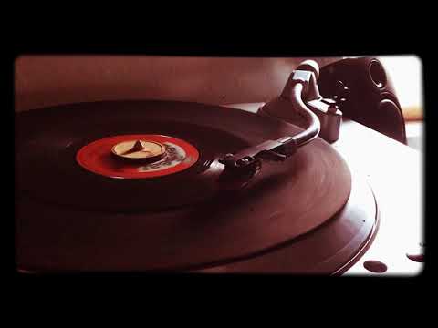 Cock and the woodpeckers - because I love you