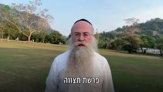 ממתק לשבת פרשת תצווה תשפ״ו (הרב נחמיה וילהלם) - התמונה מוצגת ישירות מתוך אתר האינטרנט יוטיוב. זכויות היוצרים בתמונה שייכות ליוצרה. קישור קרדיט למקור התוכן נמצא בתוך דף הסרטון