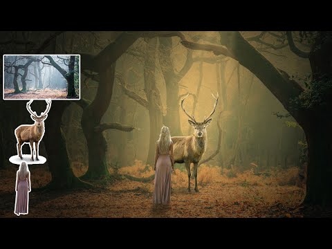 Photoshop Manipulation Tutorial Elephant Manipulation Design Vertex Graphic