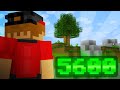 Logging into a 5600 hour Skyblock profile after 2 years