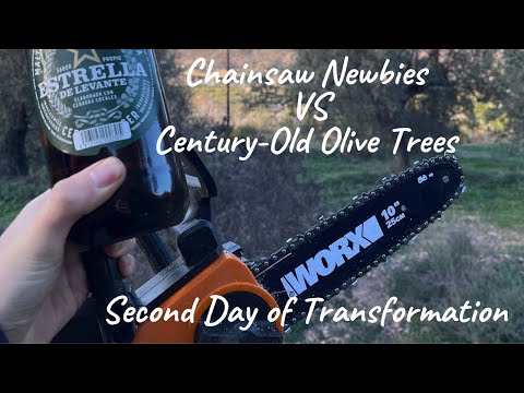 Chainsaw Newbies vs Century-Old Olive Trees: The Second Day of Transformation | WORX Cordless 20V Review