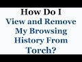 Torch Browser Tutorial - How To View & Remove Your Browsing History