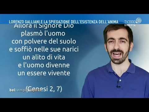 Bel tempo si spera - 9 giugno 2020