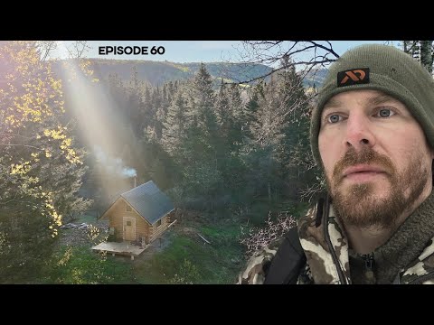 NEW 100-acres: move or stay? Road, Cabin Foundation |EP60| Log Cabin Build on Off-Grid Homestead