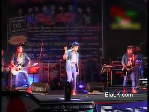 06 Aalawantha Neth Wida (Muthu Palasa) by All Right in Kelaniya - Hibutuwelgoda