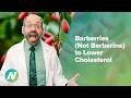 Barberries Rather Than Berberine To Lower Cholesterol
