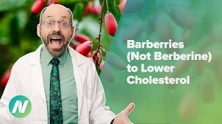 Barberries Rather Than Berberine to Lower Cholesterol
