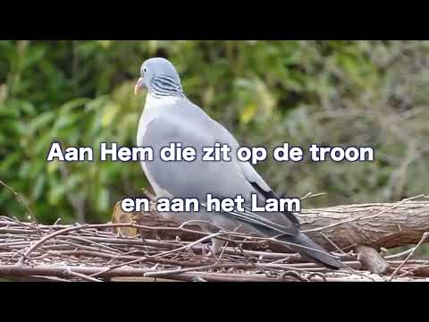 323 - Aan Hem Die Zit Op De Troon - Opwekking