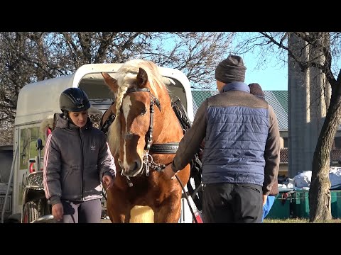 Calatorie prin Romania cu Stelica, Mihai si Claudiu - 2020/2021