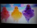 Boohbah Squeaky Socks End Dance