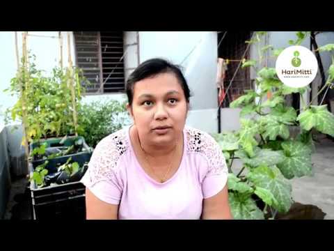 Testimonial of Soma Bhattacharya from New Barrackpore on Urban Farming with HariMitti