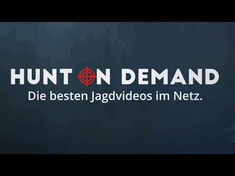 HUNT ON DEMAND - Die besten Jagdvideos im Netz - Hunter Brothers