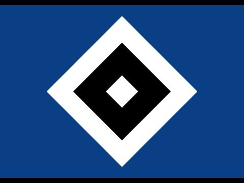29.10.2016 VfL Wolfsburg-HSV LV