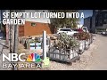 Urban Garden Sparks Mixed Reaction Among SF S Mission Residents Workers