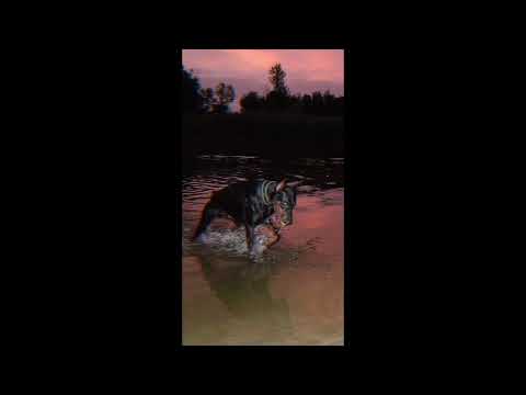 "LUXURY" BEAT RAP BOOM BAP (USO LIBRE) Prod. Dangobeats