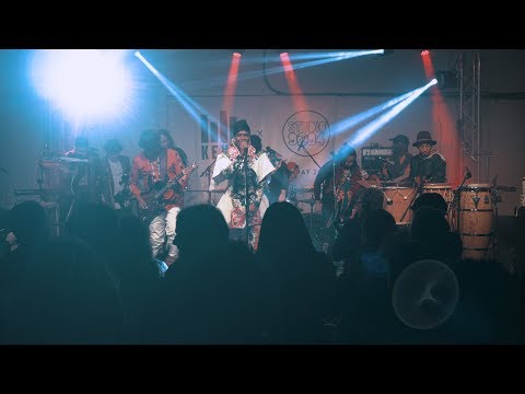 Ibibio Sound Machine - Full Performance (Live on KEXP)