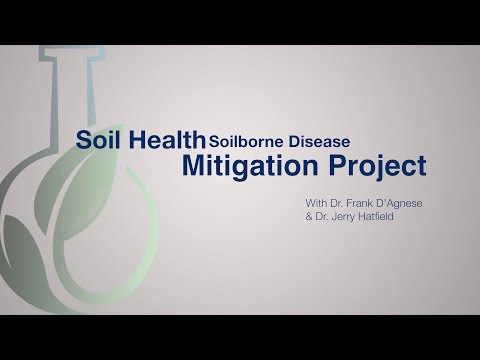 Soil Health, Soilborne Disease Mitigation Project