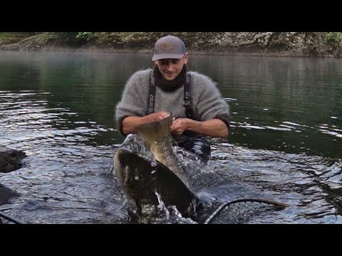 20 kg Salmon Caught in River Bolstad