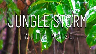 Sounds of the jungle | Storm | White Noise | Sleep | Relax