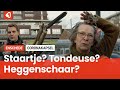 Kappers al een tijdje dicht, wat nu?