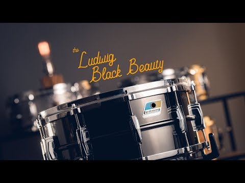 Snare Spotlight: Ludwig Black Beauty
