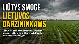 Vanduo paskandino derlių