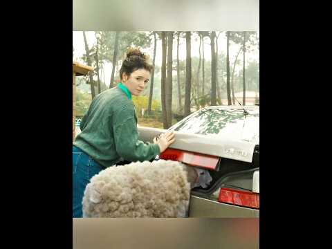 He Punished Everyone Who Hurt Animals #shorts #viral