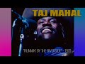Taj Mahal • “Runnin’ By The Riverside” • 1970 [Reelin' In The Years Archive]