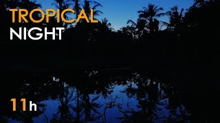 Tropical Night - Nature Sounds for Sleeping - Frogs &amp; Crickets - 11 Hours Long - Relaxing HD Video