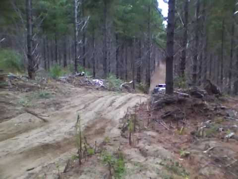 Lisa Marie Hallam-Raana Horan