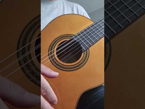 Juan Hernandez Estudio Classical Guitar Handmade in Spain 2003, Solid Spruce, Solid Mango Back image 18