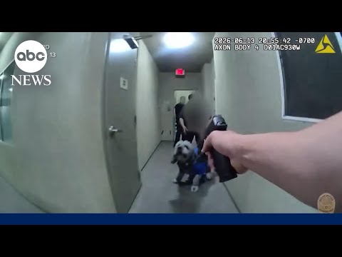 Investigation into police shooting of Knicks fan's dog